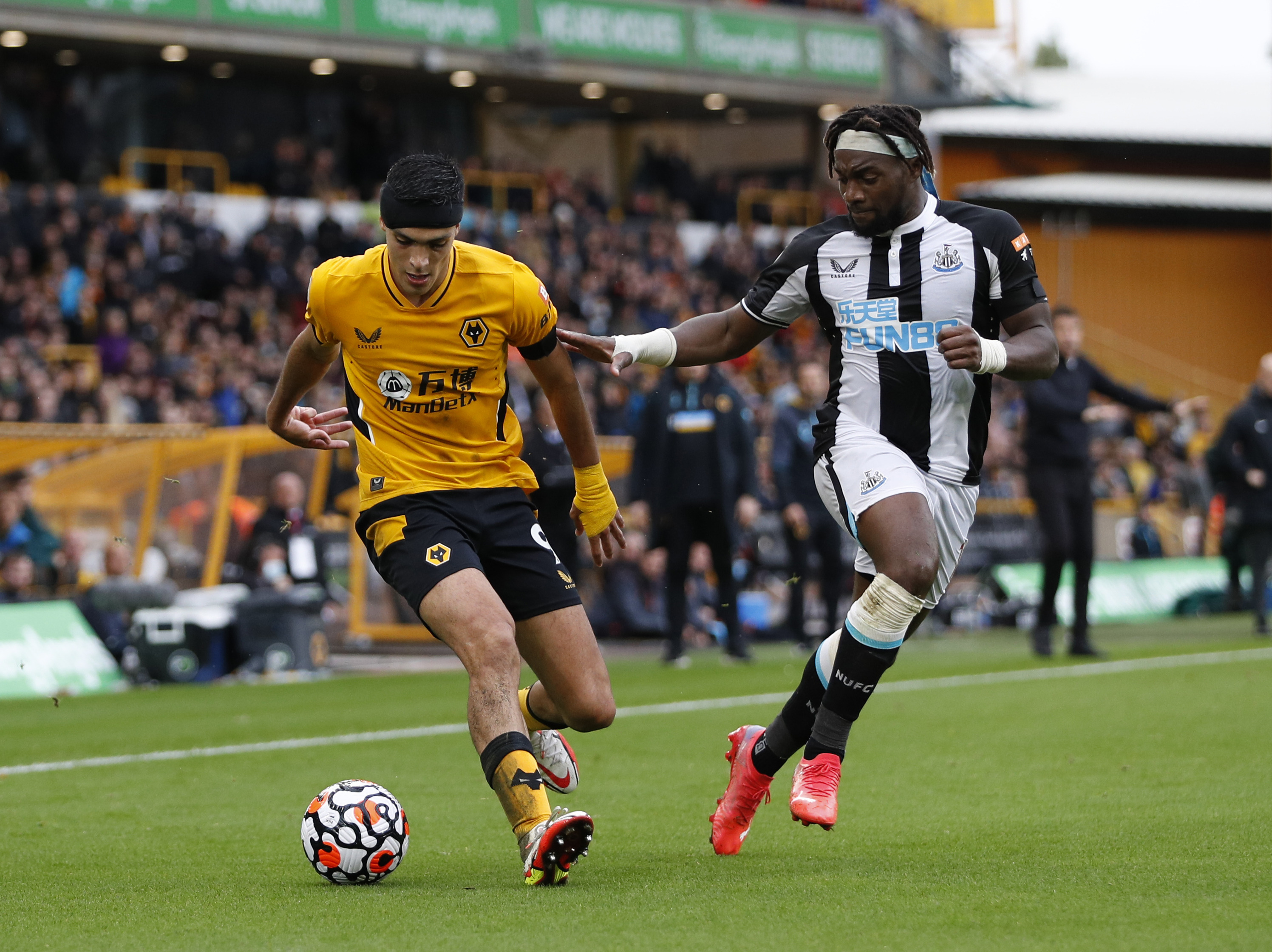 出售年轻球 出售年轻球