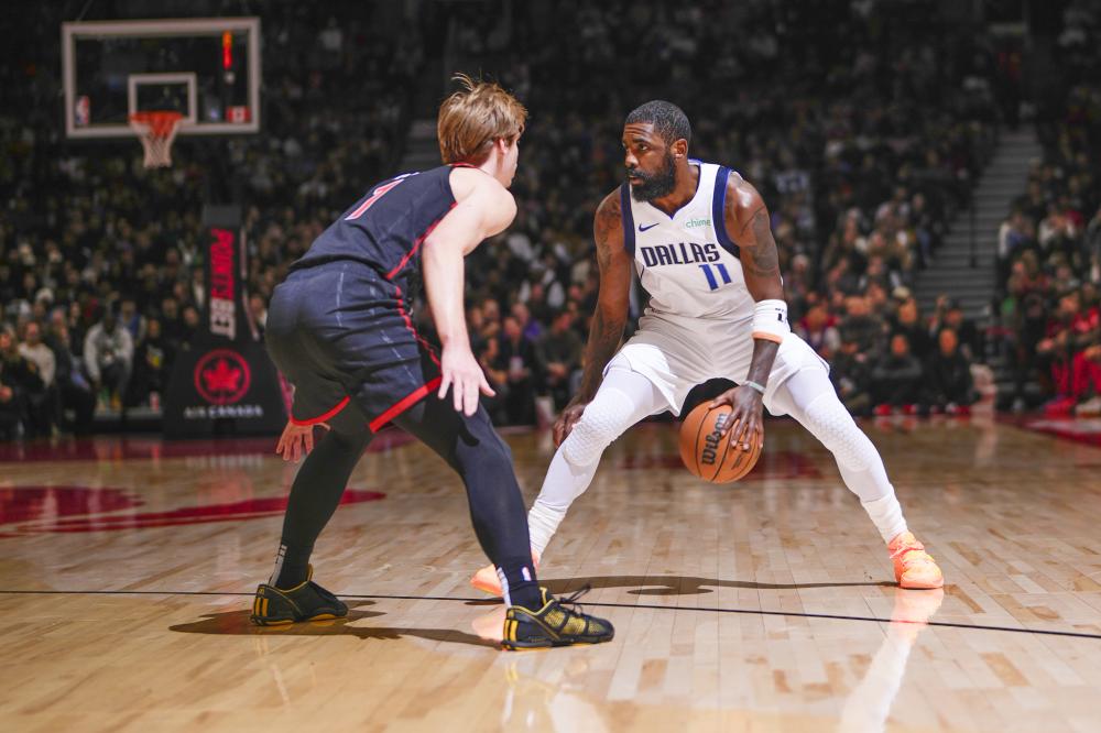 可以看到森 可以看到森